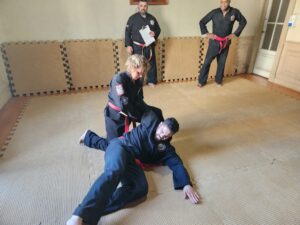 wai kung pai kung fu
